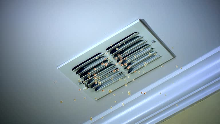 Best Local Air Duct Cleaning Services  in Marlboro Meadows, MD